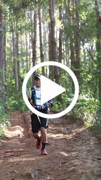 BIB:  <button type="button" onclick="openModal(26569778)" class="btn btn-primary btn-sm float-right" data-toggle="modal" data-target=".modal-high-quality">
                <i class="fa fa-download"></i> Download
                </button>